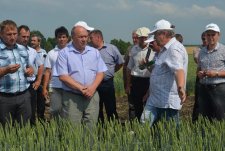 День поля в Курской области